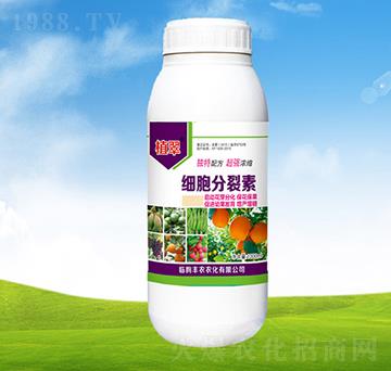 ��(x��)��������-ֲ��-�S�r(n��ng)