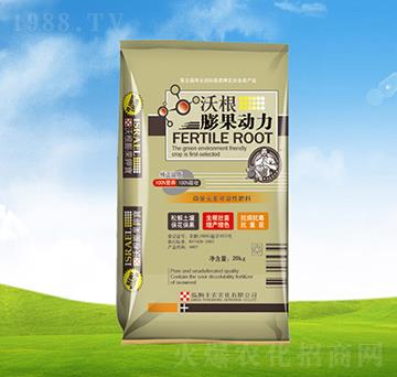 �ָ��������-ֲ��-�S