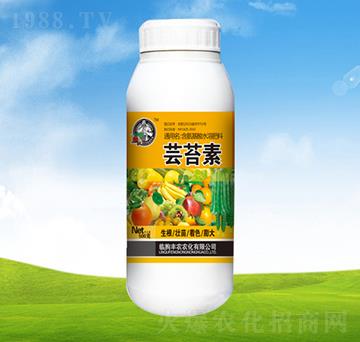 �|̦�ء�ƿ��-ֲ��-�S