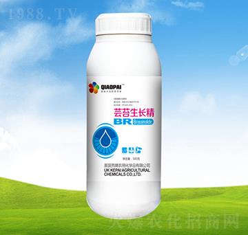 �|̦���L��-ֲ��-�S�r(n��ng)