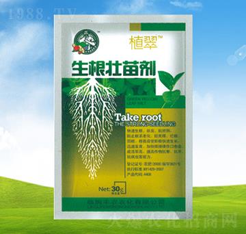 �������焩-ֲ��-�S�r(n��ng)