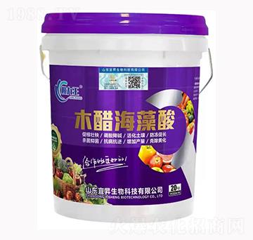 ľ�׺�����-�˕N����