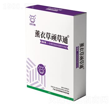 薰衣草頑草通-正華力致