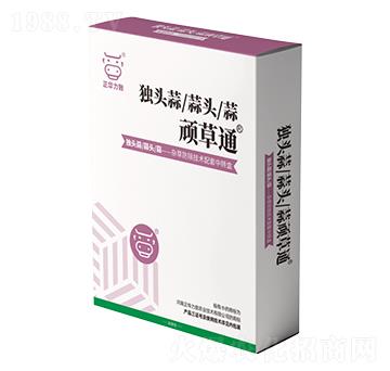 獨(dú)頭蒜頑草通-正華力致