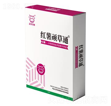 紅薯頑草通-正華力致