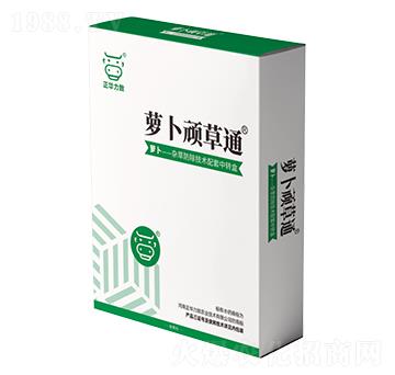 蘿卜頑草通-正華力致