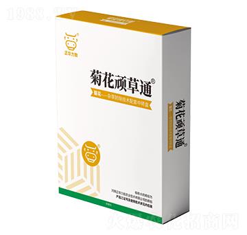 菊花頑草通-正華力致