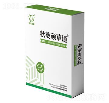 秋葵頑草通-正華力致