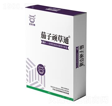 茄子頑草通-正華力致