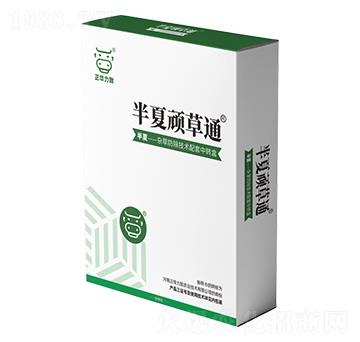 半夏頑草通-正華力致