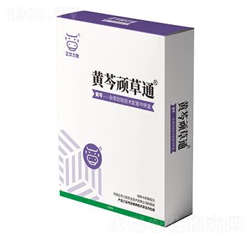 黃芩頑草通-正華力致