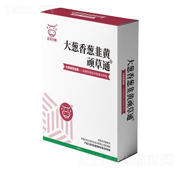 大蔥、香蔥、韭黃頑草通-正華力致