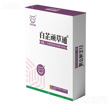 白芷頑草通-正華力致