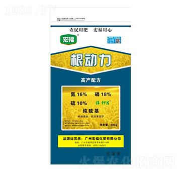 ����(d��ng)��-�������