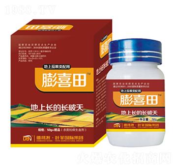 �����ѹ������-��ϲ��-�°��~��