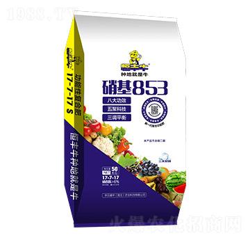 ����������ͺϷ���17-7-17-����853-����ʢ�S