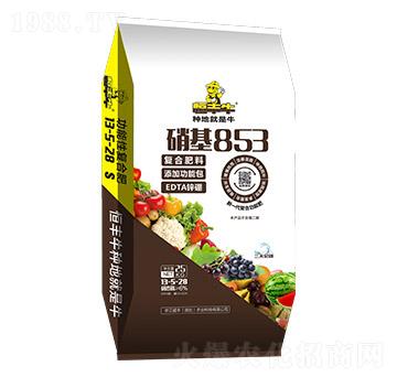 25kg����������ͺϷ���13-5-28-����853-����ʢ�S