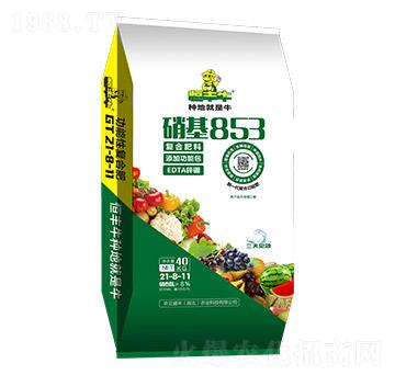 �����������ͺϷ���21-8-11-����ʢ�S