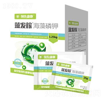 ��l(f��)�ں������-�I�ȿ���