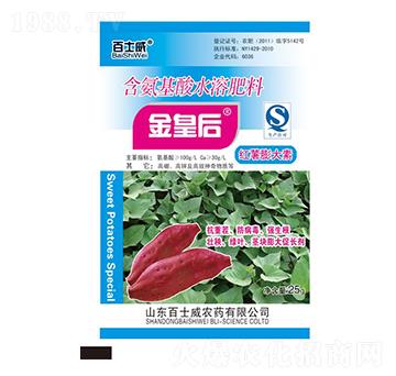 �t�������-��ʺ�-��ʿ��