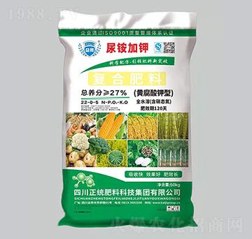 �S������͏ͺϷ���22-0-5��50���-�P������