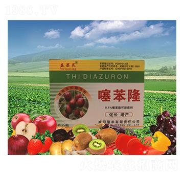 �󗗌�(zhu��n)���籽¡-���S