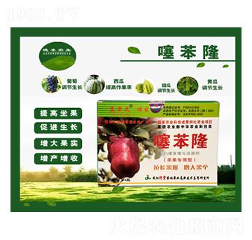 �O(p��ng)����(zhu��n)���籽¡-���S