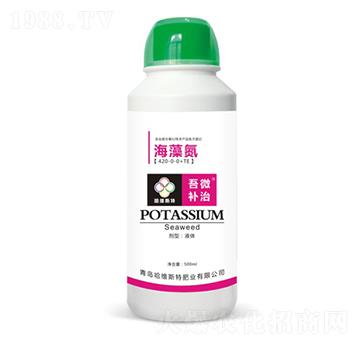 ���嵪-��΢�a(b��)��-���S˹�طʘI(y��)