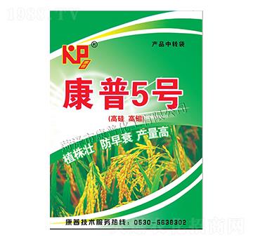 ����5̖-���շʘI(y��)