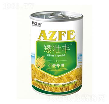 С�����ð����S-��ʿ��