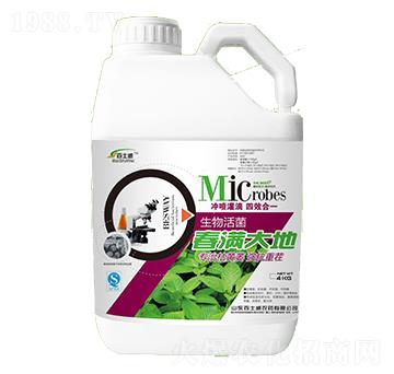 ���M���-��ʿ��