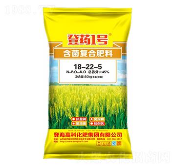 ������(f��)�Ϸ���18-22-5-��ˎ1̖-�Ƿ�