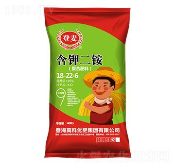 ��(f��)�Ϸ���12-22-6-��⛶��@-�Ƿ�