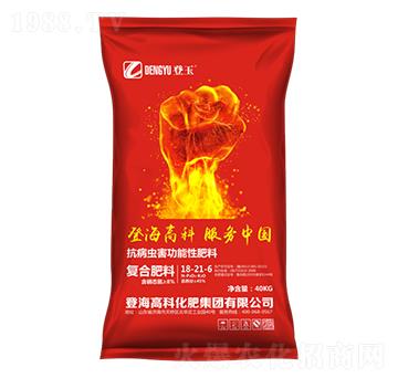 �����x�������Է��Ϗ�(f��)�Ϸ���18-21-6-�Ƿ�