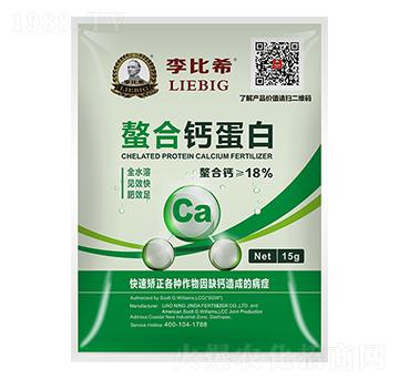 �����}����-���ϣ-���ʘI(y��)