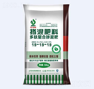 �������ϓ����19-19-19-���ʘI(y��)