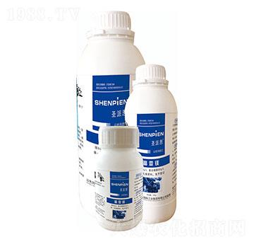 �����V-ʥ�ɶ�