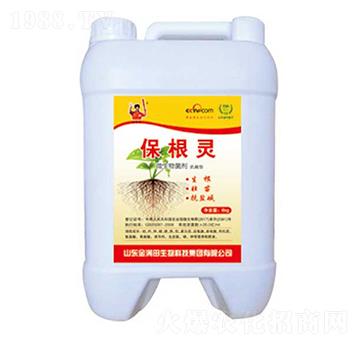 �����`΢�������-��M��