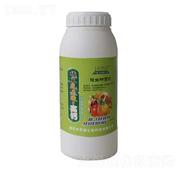 ϡ�������ᡤ���}΢�������-�A�I����