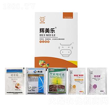 根腐病、莖基腐病、立枯病及枯萎病套餐-輝美樂(lè)-正華力致