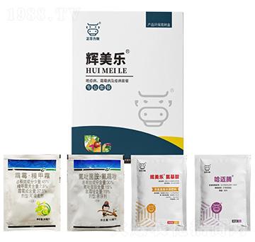 晚疫病、霜霉病及疫病套餐-輝美樂(lè)-正華力致