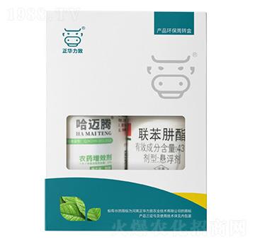強(qiáng)力殺螨套餐（哈邁騰+43%聯(lián)苯肼酯）-正華力致
