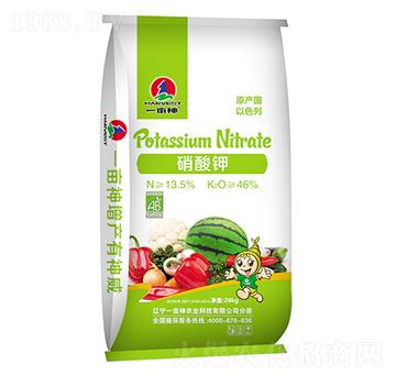 �����-һ����