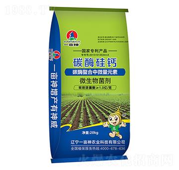 ̼ø������΢��Ԫ��-̼ø���}-һ����