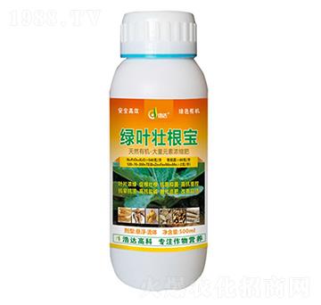 ˎ�ľG�~�Ѹ���-���_(d��)����