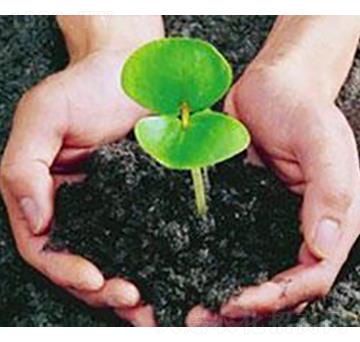 �Ϲ��ЙC(j��)��-�ɺ�