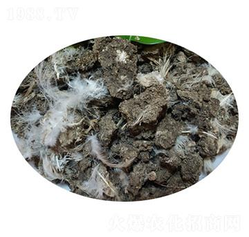 ����u�S-�����