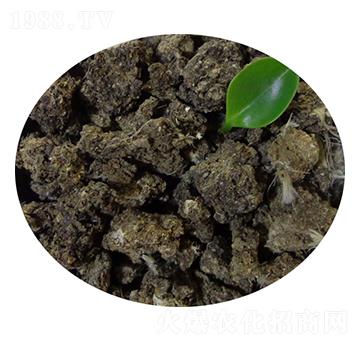 ���u�S��-�T������