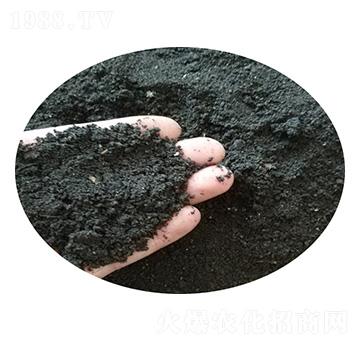 ����������-ʥ������