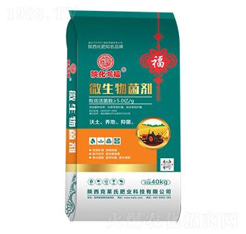 ΢�������40kg-���R��